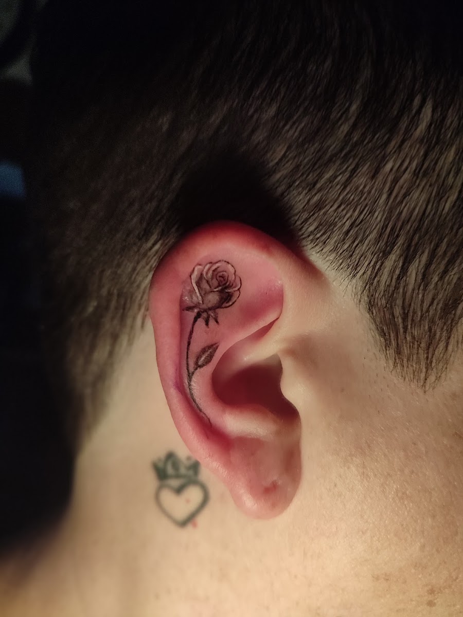 Feine Rose hinter dem Ohr